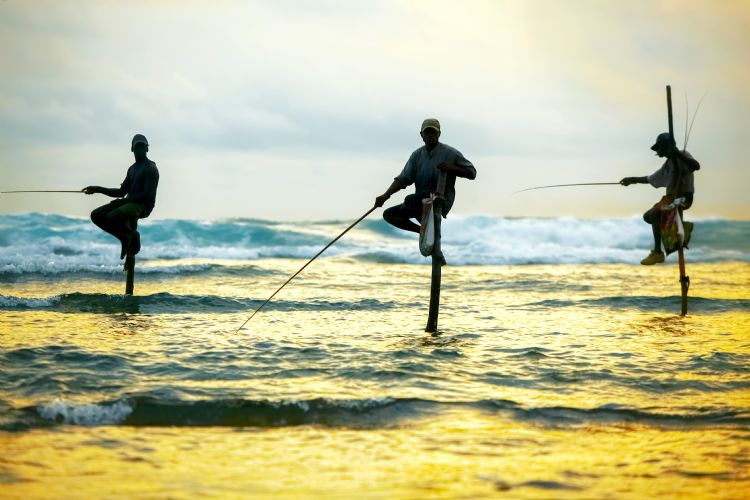 Pêcheurs traditionnels à Weligama