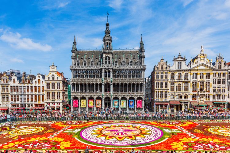 Tapis de fleurs sur la Grand Place de Bruxelles