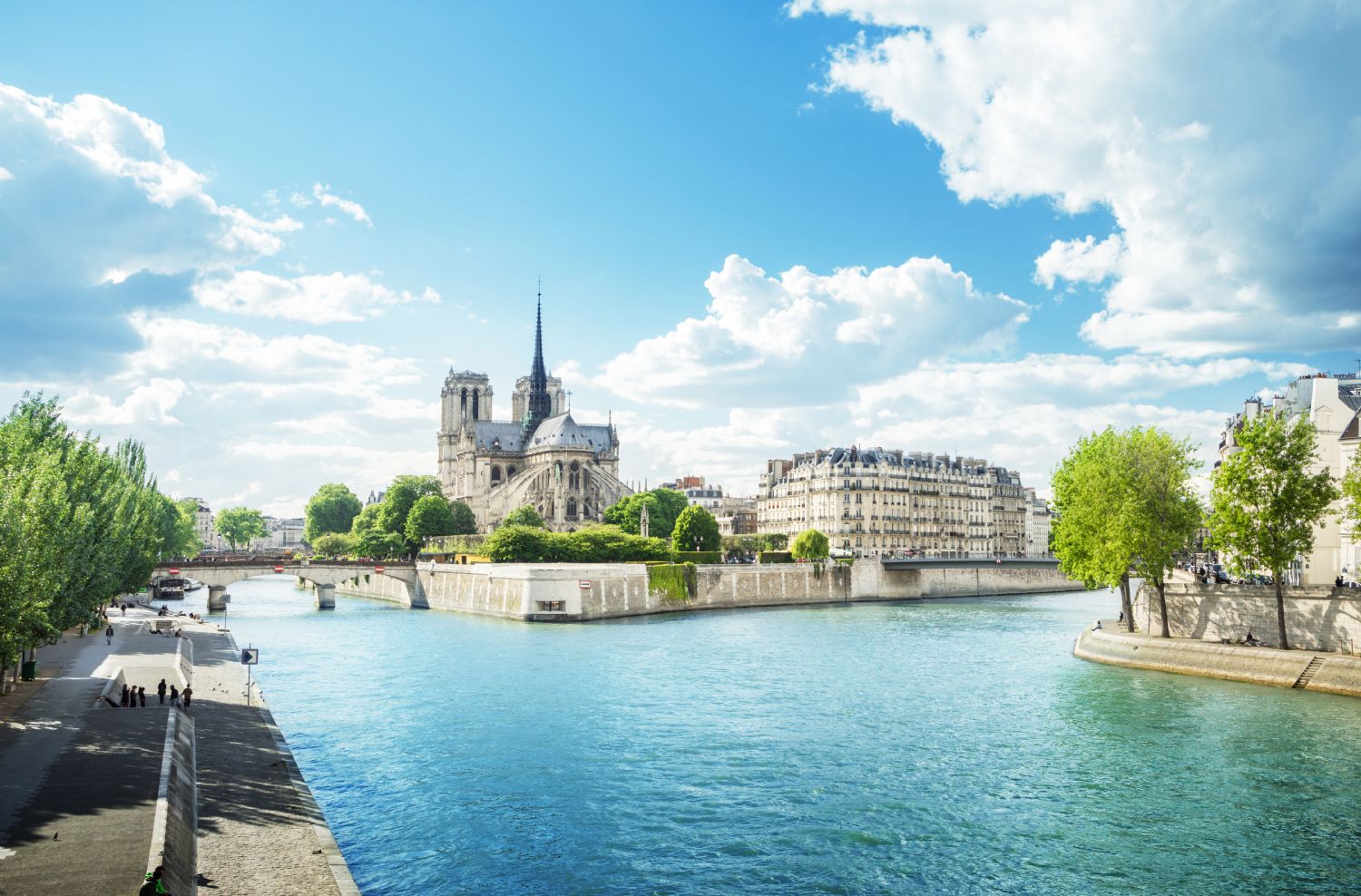 Cathédrale Notre-Dame de Paris
