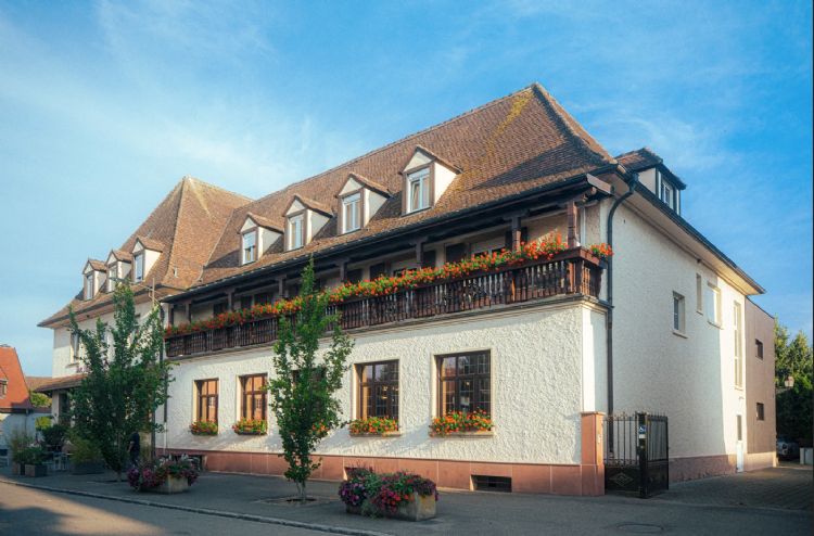 Hôtel Au Nid de Cigognes*** à Ostheim